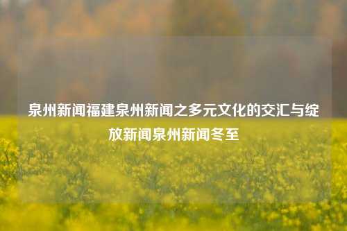 泉州新闻福建泉州新闻之多元文化的交汇与绽放新闻泉州新闻冬至