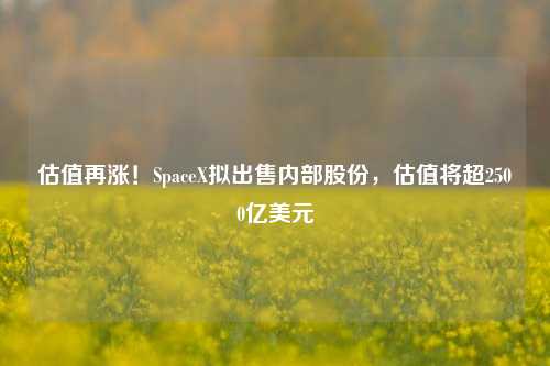 估值再涨！SpaceX拟出售内部股份，估值将超2500亿美元