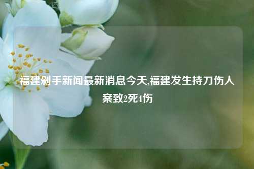 福建剁手新闻最新消息今天,福建发生持刀伤人案致2死4伤