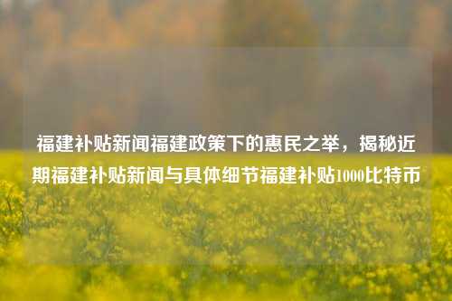 福建补贴新闻福建政策下的惠民之举，揭秘近期福建补贴新闻与具体细节福建补贴1000比特币