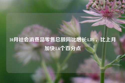 10月社会消费品零售总额同比增长4.8%，比上月加快1.6个百分点