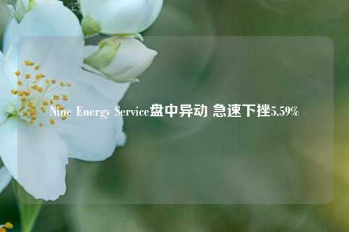 Nine Energy Service盘中异动 急速下挫5.59%