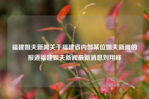 福建姐夫新闻关于福建省内部某位姐夫新闻的报道福建姐夫新闻最新消息刘翔峰