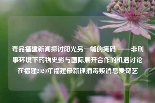 毒品福建新闻探讨阳光另一端的掩码 ——非刑事环境下药物史影与国际展开合作的机遇讨论在福建2020年福建最新抓捕毒贩消息爱奇艺