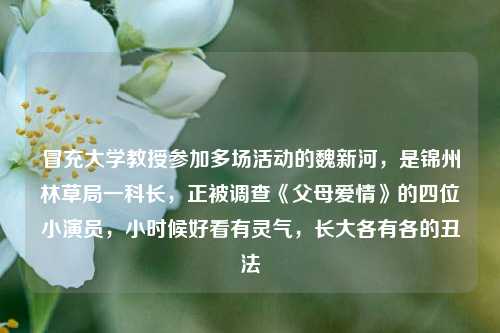 冒充大学教授参加多场活动的魏新河，是锦州林草局一科长，正被调查《父母爱情》的四位小演员，小时候好看有灵气，长大各有各的丑法