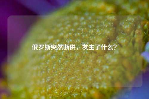 俄罗斯突然断供，发生了什么？