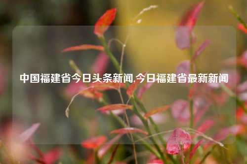 中国福建省今日头条新闻,今日福建省最新新闻