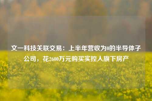 文一科技关联交易：上半年营收为0的半导体子公司，花2600万元购买实控人旗下房产