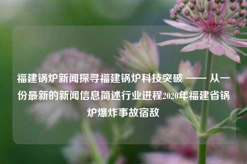 福建锅炉新闻探寻福建锅炉科技突破 —— 从一份最新的新闻信息简述行业进程2020年福建省锅炉爆炸事故宿敌