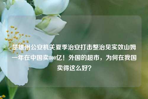 楚雄州公安机关夏季治安打击整治见实效山姆一年在中国卖800亿！外国的超市，为何在我国卖得这么好？