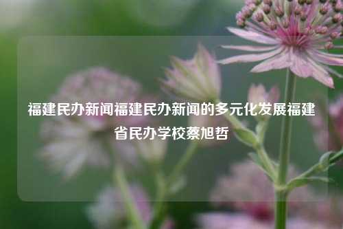 福建民办新闻福建民办新闻的多元化发展福建省民办学校蔡旭哲