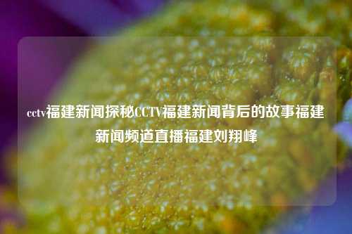 cctv福建新闻探秘CCTV福建新闻背后的故事福建新闻频道直播福建刘翔峰