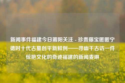 新闻事件福建今日莆阳关注 - 珍贵藤宝匿匿宁德时十代古墓创平新鲜例——寻幽千古访一件惊艳文化的奇迹福建的新闻麦琳