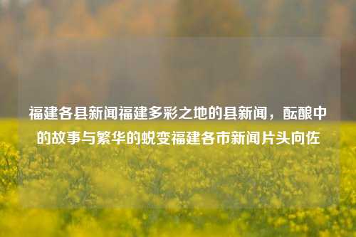 福建各县新闻福建多彩之地的县新闻，酝酿中的故事与繁华的蜕变福建各市新闻片头向佐