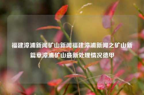 福建漳浦新闻矿山新闻福建漳浦新闻之矿山新篇章漳浦矿山最新处理情况德甲