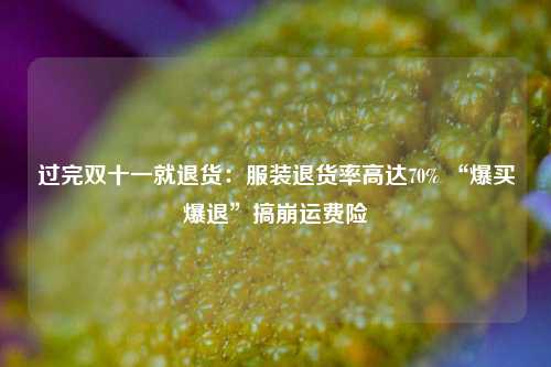 过完双十一就退货：服装退货率高达70% “爆买爆退”搞崩运费险