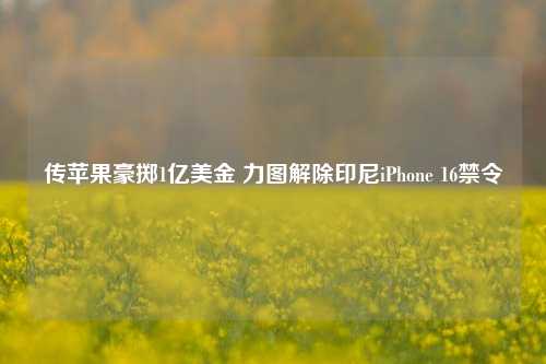 传苹果豪掷1亿美金 力图解除印尼iPhone 16禁令