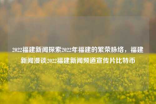 2022福建新闻探索2022年福建的繁荣脉络，福建新闻漫谈2022福建新闻频道宣传片比特币