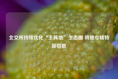 北交所持续优化“主阵地”生态圈 将推专精特新指数