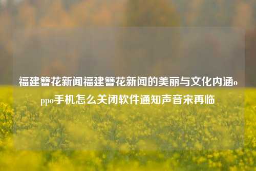 福建簪花新闻福建簪花新闻的美丽与文化内涵oppo手机怎么关闭软件通知声音宋再临