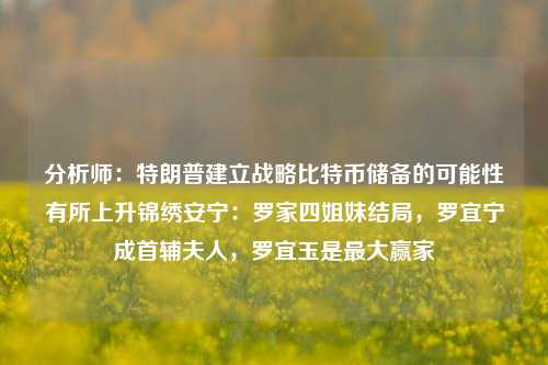 分析师：特朗普建立战略比特币储备的可能性有所上升锦绣安宁：罗家四姐妹结局，罗宜宁成首辅夫人，罗宜玉是最大赢家