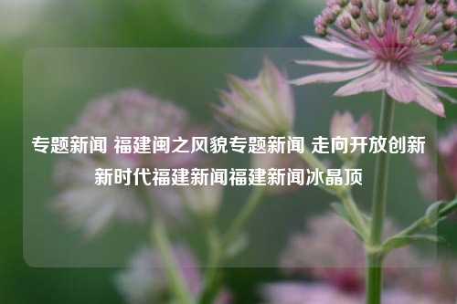 专题新闻 福建闽之风貌专题新闻 走向开放创新新时代福建新闻福建新闻冰晶顶