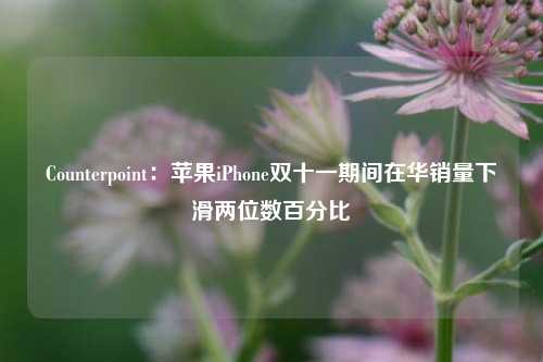 Counterpoint：苹果iPhone双十一期间在华销量下滑两位数百分比