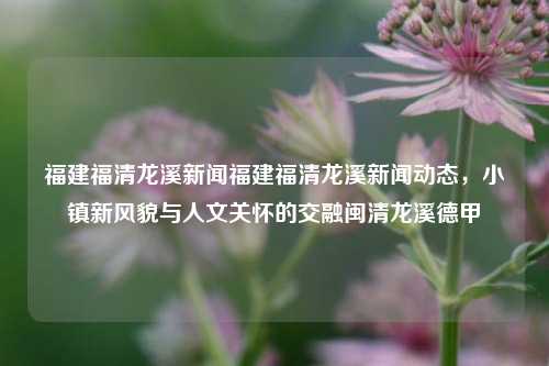 福建福清龙溪新闻福建福清龙溪新闻动态，小镇新风貌与人文关怀的交融闽清龙溪德甲