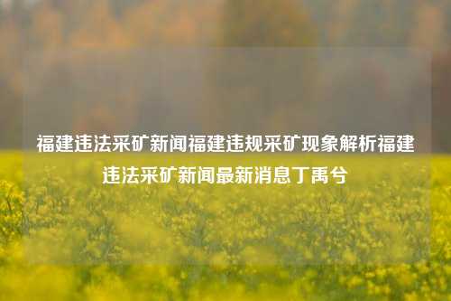 福建违法采矿新闻福建违规采矿现象解析福建违法采矿新闻最新消息丁禹兮