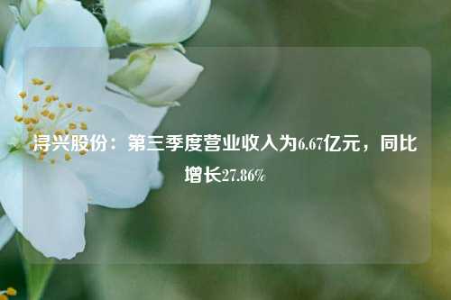 浔兴股份：第三季度营业收入为6.67亿元，同比增长27.86%